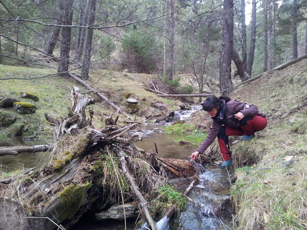 Xalet Refugi Pere Carne Vandrarhem La Molina  Exteriör bild